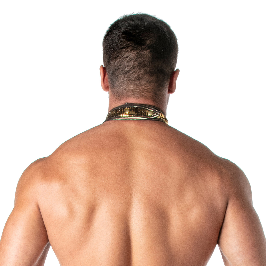 Goudkleurige kraag ontworpen door Tof Paris en te koop bij Flavourez.