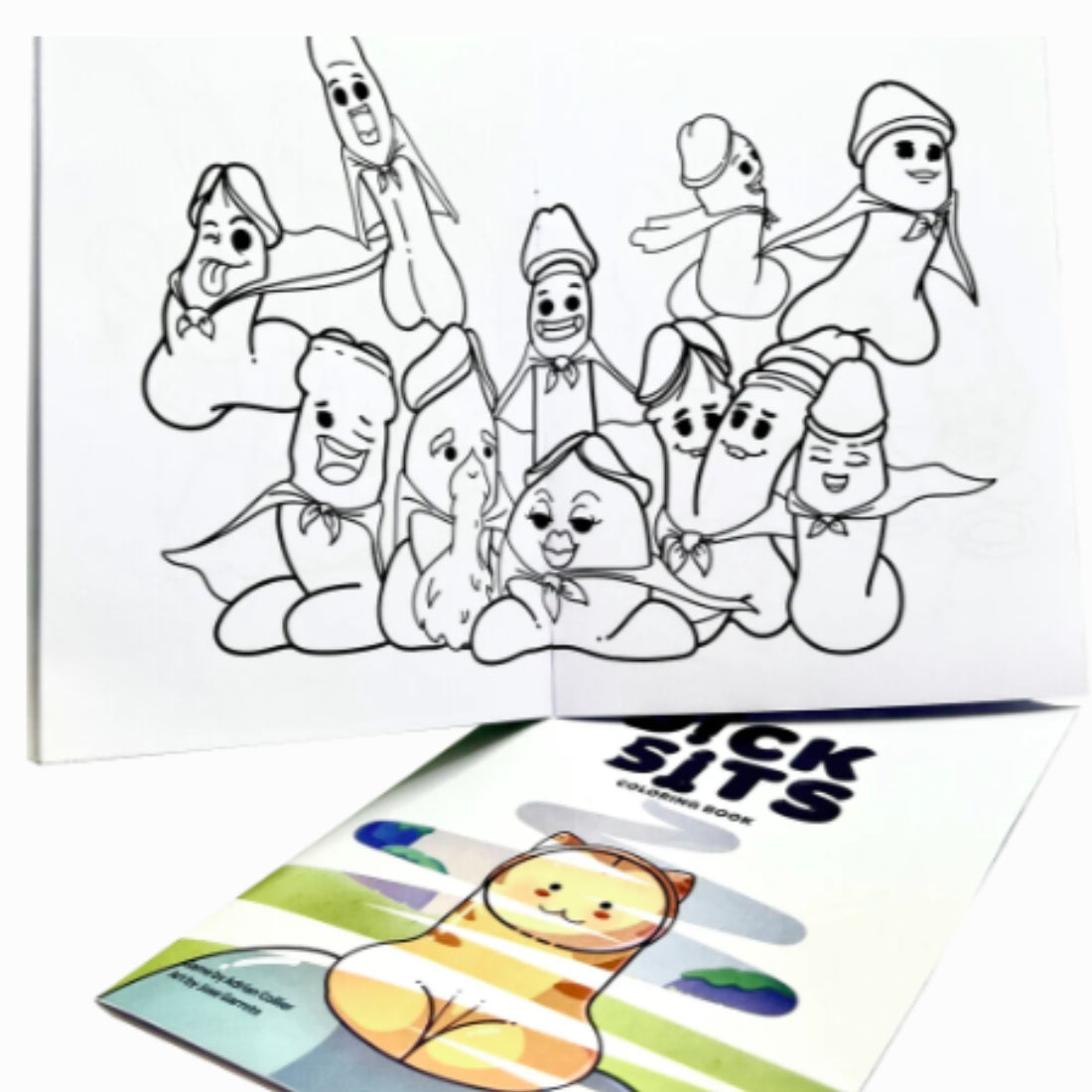 The dick sits colouring book for adults, buy it at flavourez.nl