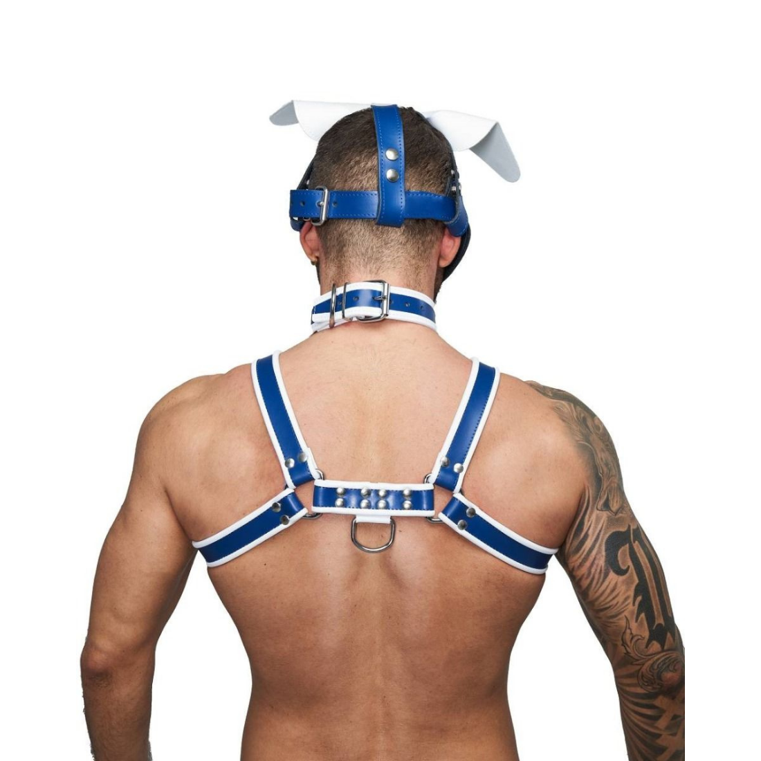 Luxe blauw leren puppy masker van Mister B. Ontworpen voor gay mannen en te koop bij Flavourez.