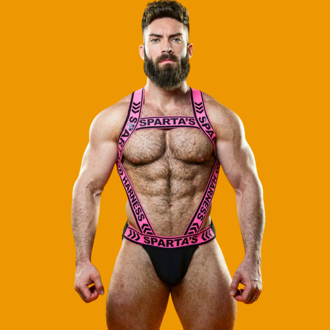 Roze elastische singlet met harnas en jockstrap van Sparta’s Harness, te koop bij Flavourez.