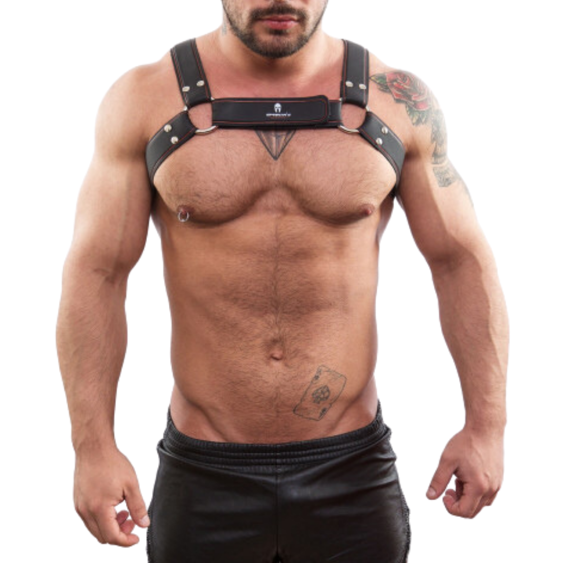 Sexy zwart party harnas ontworpen door het Italiaanse gay merk Sparta’s Harness en te koop bij Flavourez.