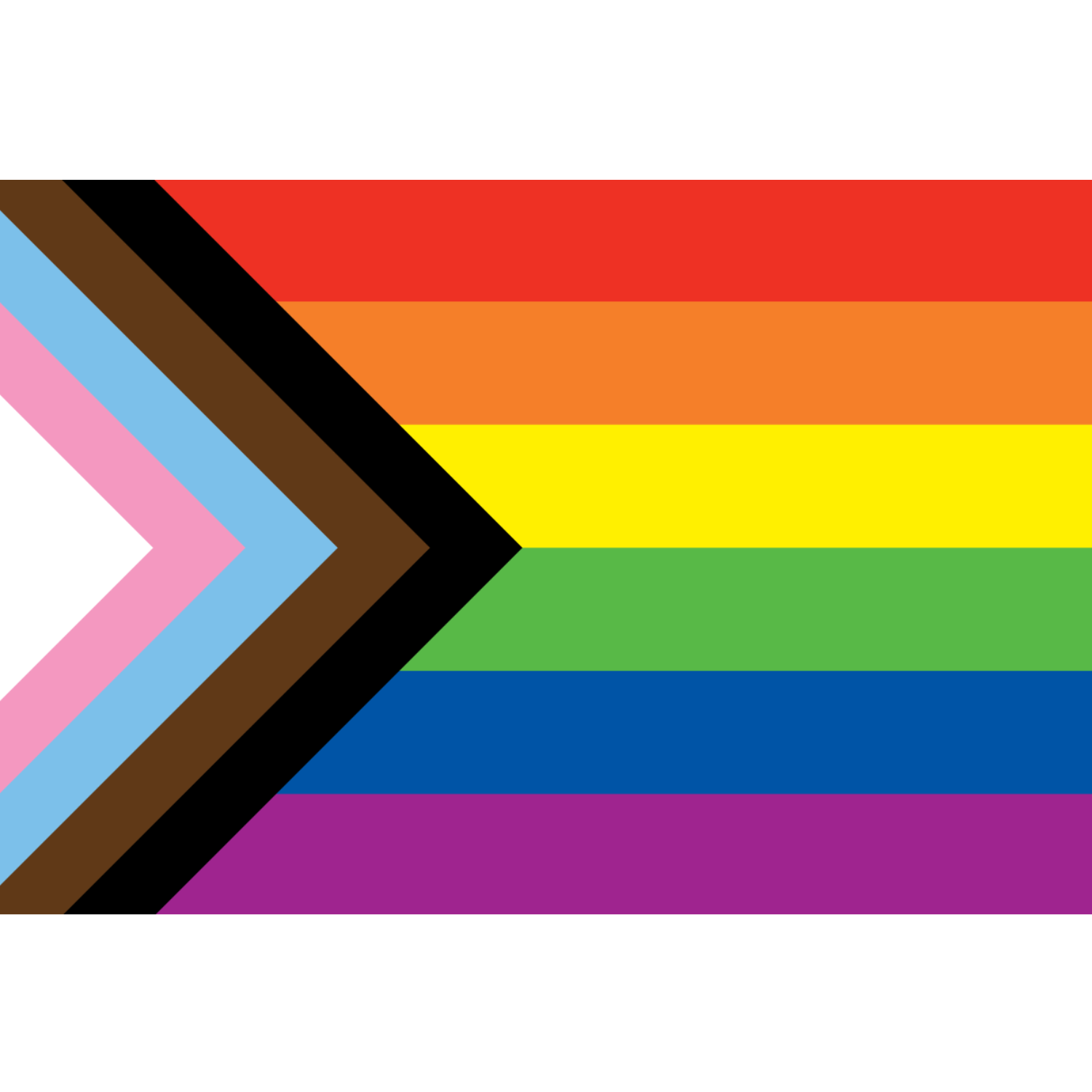 Progress Pride vlag, formaat 90cm x 150 cm van Mister B en te koop bij Flavourez.